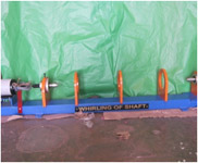 Governor Apparatus